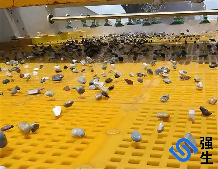 聚氨酯筛网筛选.jpg